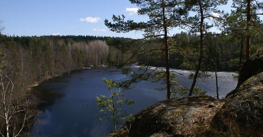 From Helsinki: Nuuksio National Park Half-Day Trip - Key highlights to know before you go