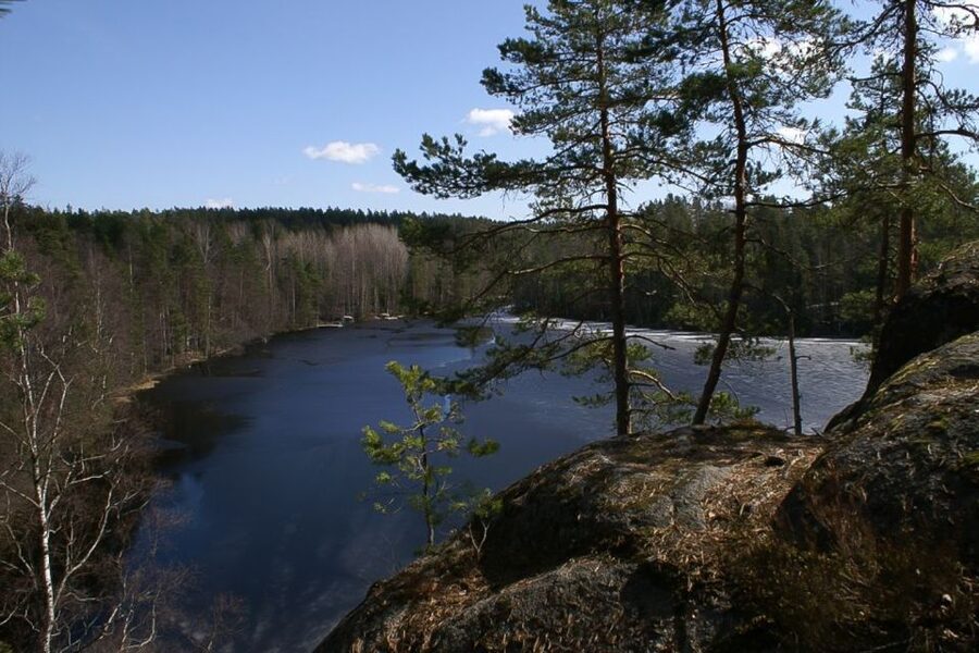 From Helsinki: Nuuksio National Park Half-Day Trip - What you’ll see inside Nuuksio National Park: primeval rocks, moss, ferns, and lakes