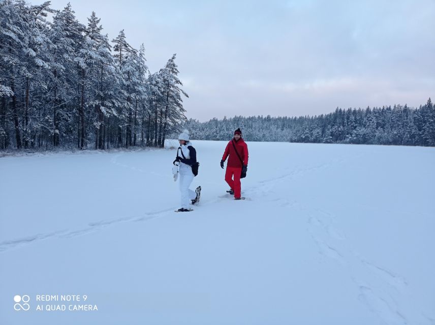 From Helsinki: Nuuksio National Park Hiking Tour with Food - A Half-Day Escape From Helsinki Into Nuuksio’s Taiga