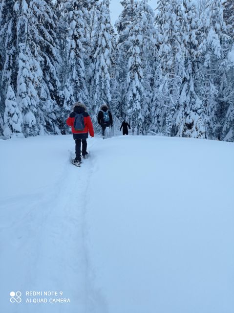 From Helsinki: Nuuksio National Park Hiking Tour with Food - The Laavu Finish: Homemade Mushroom Soup and Finnish Comfort Food