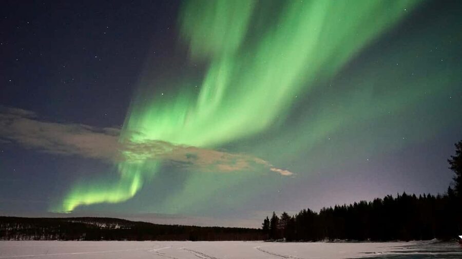 From Rovaniemi: Family-Friendly Northern Lights Tour - Photography, heat, and the practical stuff you’ll thank yourself for