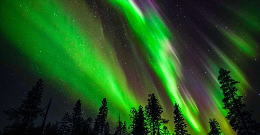 From Rovaniemi: Family-Friendly Northern Lights Tour - Who this tour is best for, and who should skip it