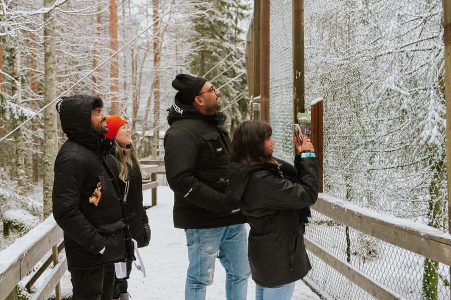 From Rovaniemi: Family Friendly Visit to Ranua Wildlife Park - Ranua Wildlife Park: Arctic Animals in a Walkable, Real-World Setting