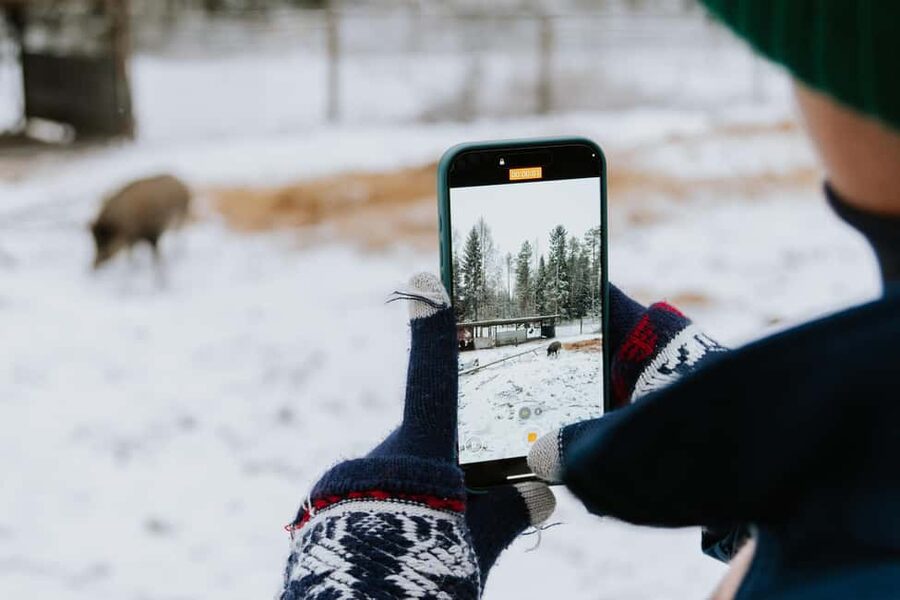 From Rovaniemi: Family Friendly Visit to Ranua Wildlife Park - Rovaniemi Pickup and the 1.5-Hour Drive to Lapland’s Wild Side