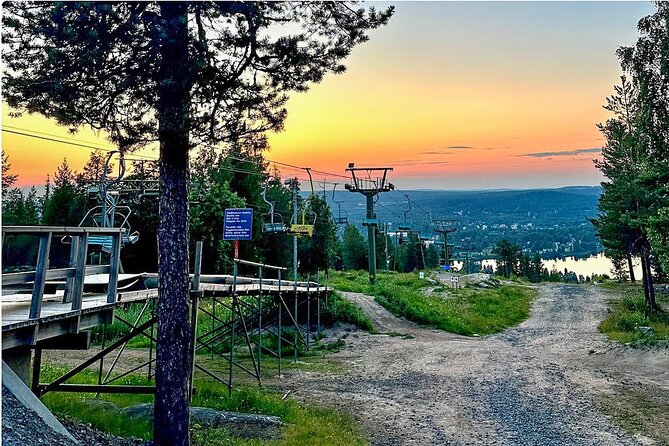 From Rovaniemi: Full Day Tour to Lapland's Attractions - Ranua Zoo Walking Tour: Arctic Animals Without the Stress of Planning