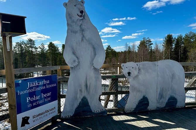 From Rovaniemi: Full Day Tour to Lapland's Attractions - The Guide Factor: Why English + Small Groups Can Matter a Lot