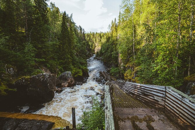 From Rovaniemi: Full Day Tour to Lapland's Attractions - Price and Value: What You Are Really Paying For