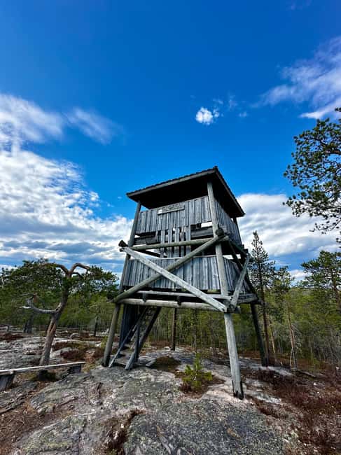 From Rovaniemi: Full-Day Tour to Lapland's Best Attractions - Vikaköngäs Nature Trail and the Arctic Circle Moment