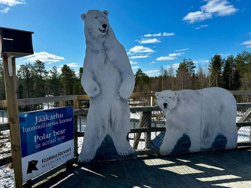From Rovaniemi: Full-Day Tour to Lapland's Best Attractions - Midnight Sun From the Hilltop, Plus Weather Flexibility