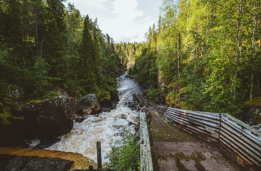 From Rovaniemi: Full-Day Tour to Lapland's Best Attractions - Price, Value, and When This Tour Makes Sense