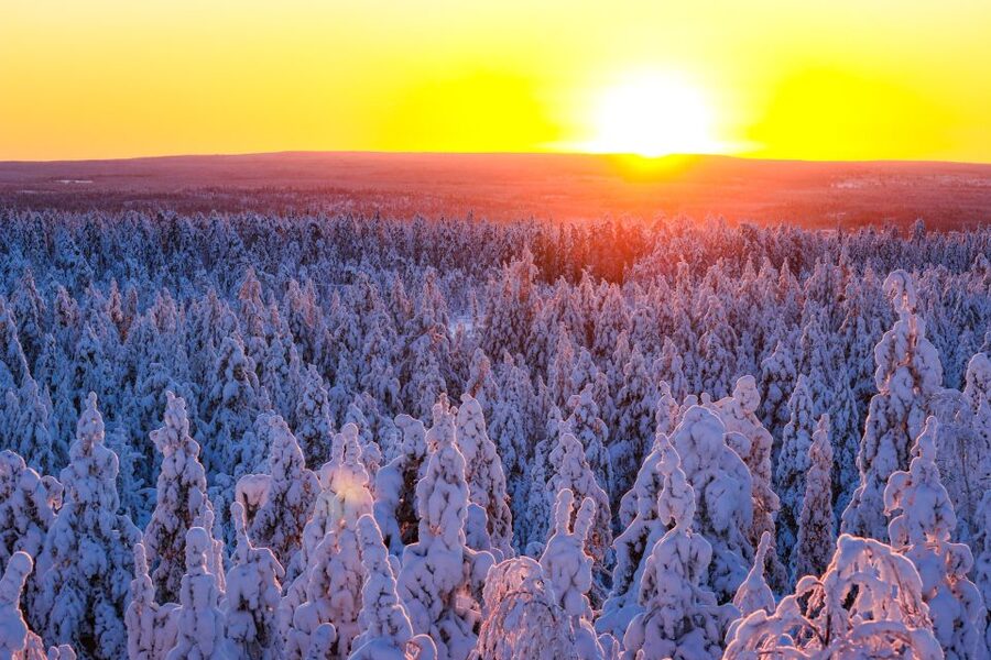 From Rovaniemi: Guided Lapland Snowmobile Adventure - Getting Ready: Gear, License Rules, and Cold-Weather Reality