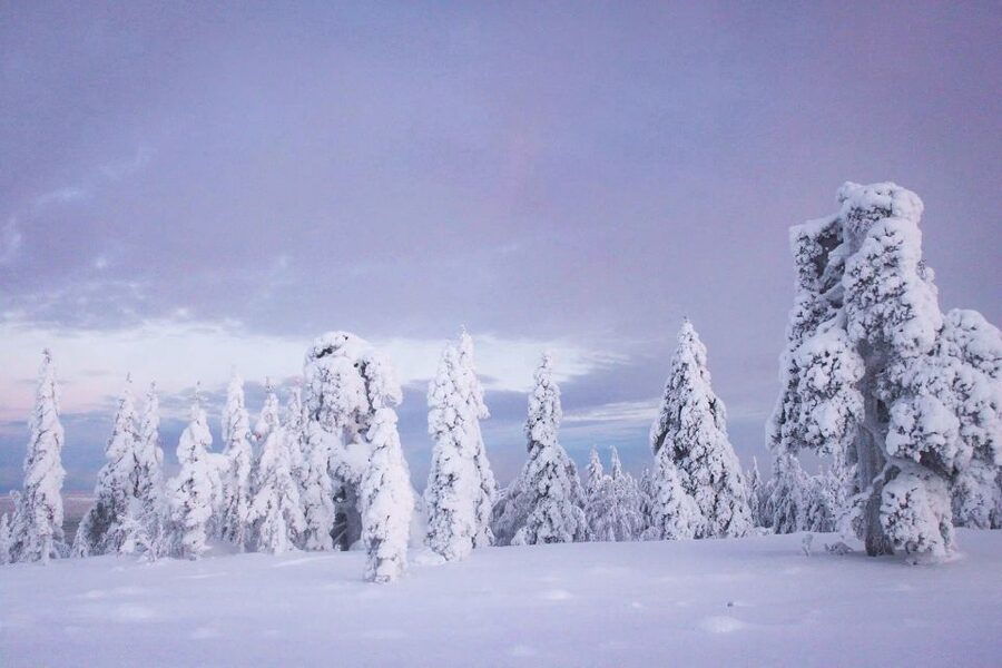 From Rovaniemi: Korouoma Canyon and Frozen Waterfalls Tour - 7 hours from Rovaniemi: pickup, drive time, and a sane group pace