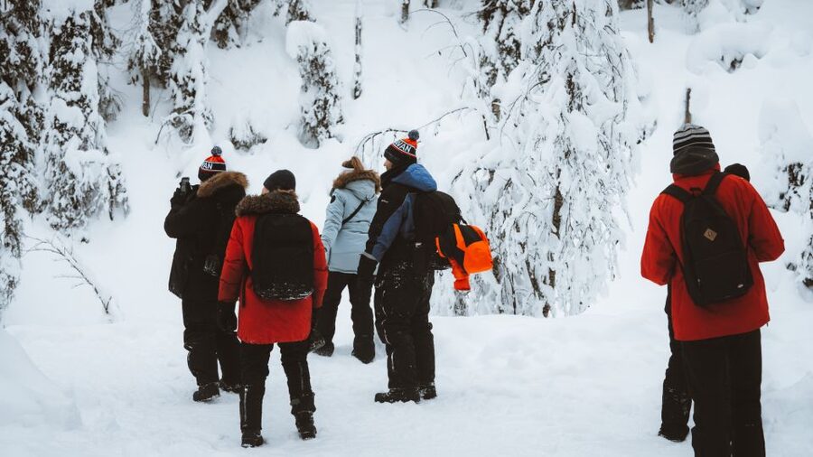 From Rovaniemi: Korouoma Canyon and Frozen Waterfalls Tour - Guides and Arctic stories: what you gain beyond photos