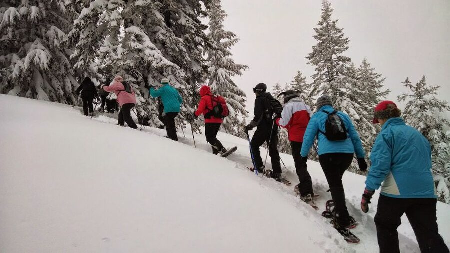 From Rovaniemi: Korouoma Frozen Waterfalls Small-Group Hike - Why Korouoma Frozen Waterfalls feel magical in winter