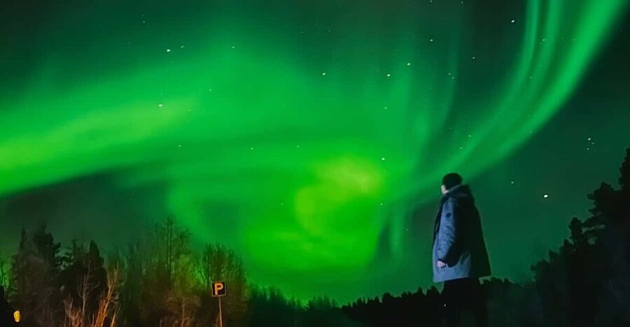 From Rovaniemi: Lapland Aurora Hunt with Barbeque - Key Highlights Worth Paying Attention To