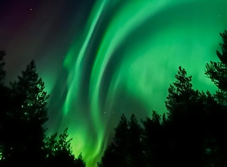 From Rovaniemi: Lapland Aurora Hunt with Barbeque - Rovaniemi Night Driving: Why the Route Keeps Changing