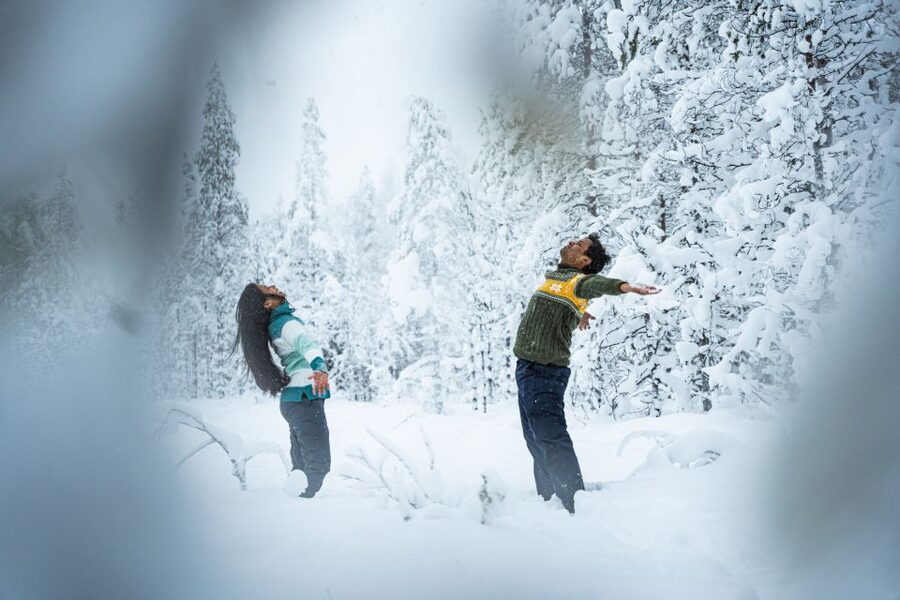 From Rovaniemi: Private Photoshoot in the Lappish Wilderness - Price and value: $330 per group up to 8