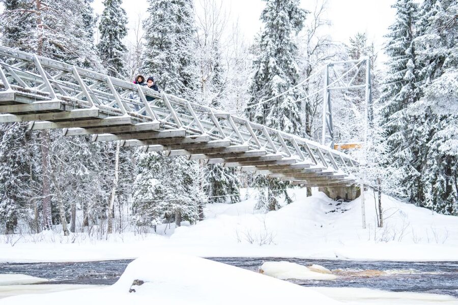 From Rovaniemi: Private Photoshoot in the Lappish Wilderness - Weather reality checks in Finnish Lapland