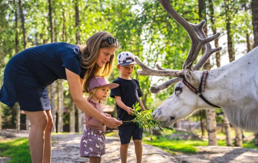 From Rovaniemi: Reindeer Farm Visit with Sleigh Ride - The Sleigh Ride: 400 to 500 Meters of Real Winter Speed