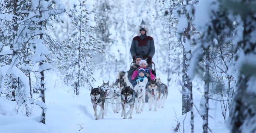 From Rovaniemi: Self-Driven 10km Husky Sled Ride - What makes this Rovaniemi husky ride different