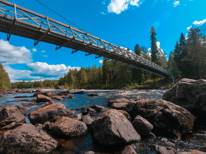 From Rovaniemi: Vikaköngäs Forest Hiking Tour - Key things you should look forward to