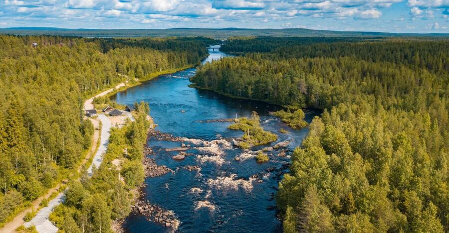 From Rovaniemi: Vikaköngäs Forest Hiking Tour - Why Vikaköngäs feels wild even when you are near Rovaniemi