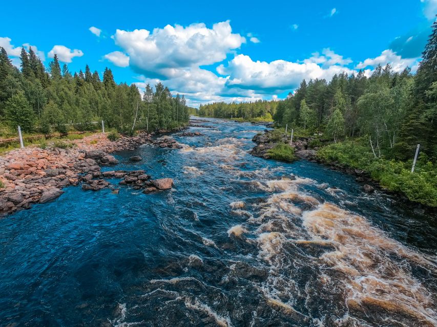 From Rovaniemi: Vikaköngäs Forest Hiking Tour - The short 1 to 2 km hike through forests and rocky gorges