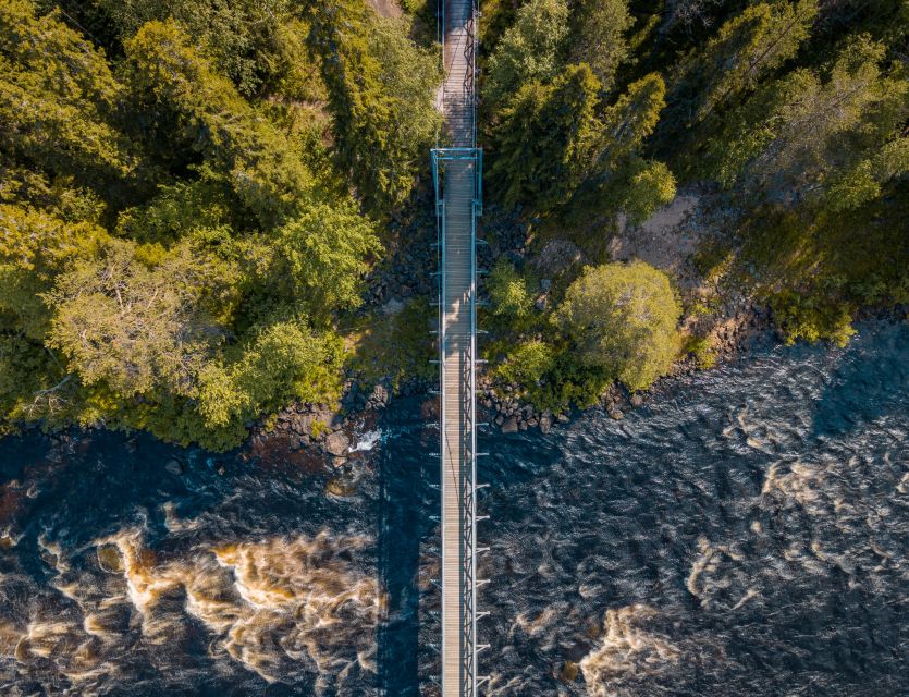 From Rovaniemi: Vikaköngäs Forest Hiking Tour - The hanging bridge moment: when sound becomes part of the scenery