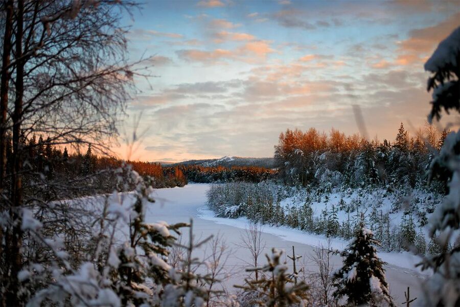 From Rovaniemi: Vikaköngäs Forest Hiking Tour - Should you book the Vikaköngäs Forest Hiking Tour?