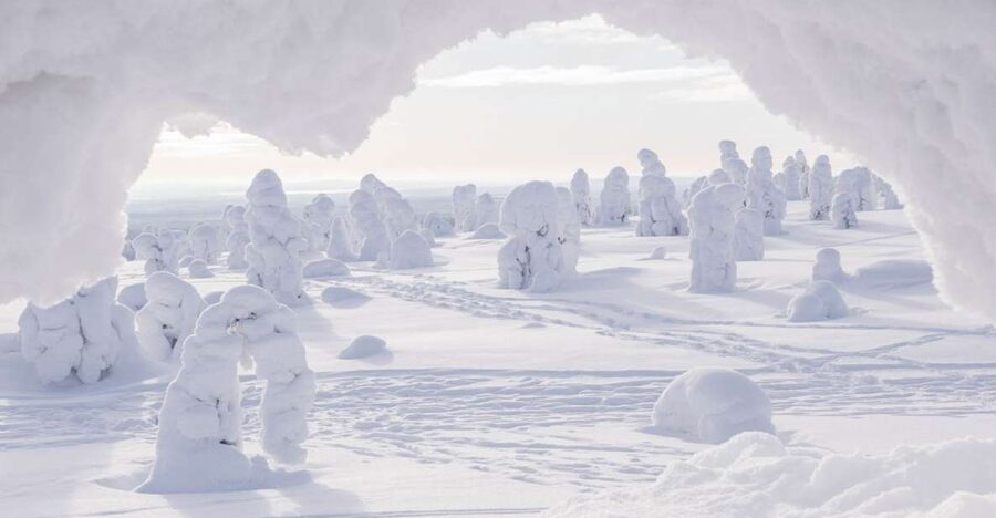 From Rovaniemi: Winter Wonderland Hike with a Hot Drink - From Rovaniemi to the snowy start: the drive sets the mood
