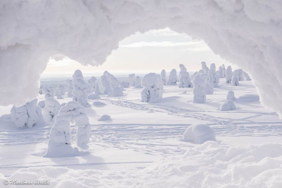 From Rovaniemi: Winter Wonderland Hike with a Hot Drink - Should you book this tour from Rovaniemi?