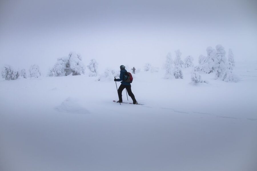 From Rovaniemi: Winter Wonderland Hike with a Hot Drink - The winter wonderland hike: what walking on moonlike snow actually feels like