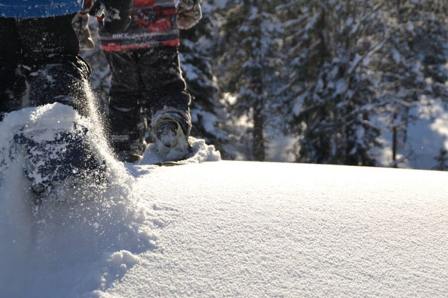 From Ruka: Snowshoeing in Oulanka National Park - Key reasons this snowshoe route hits different