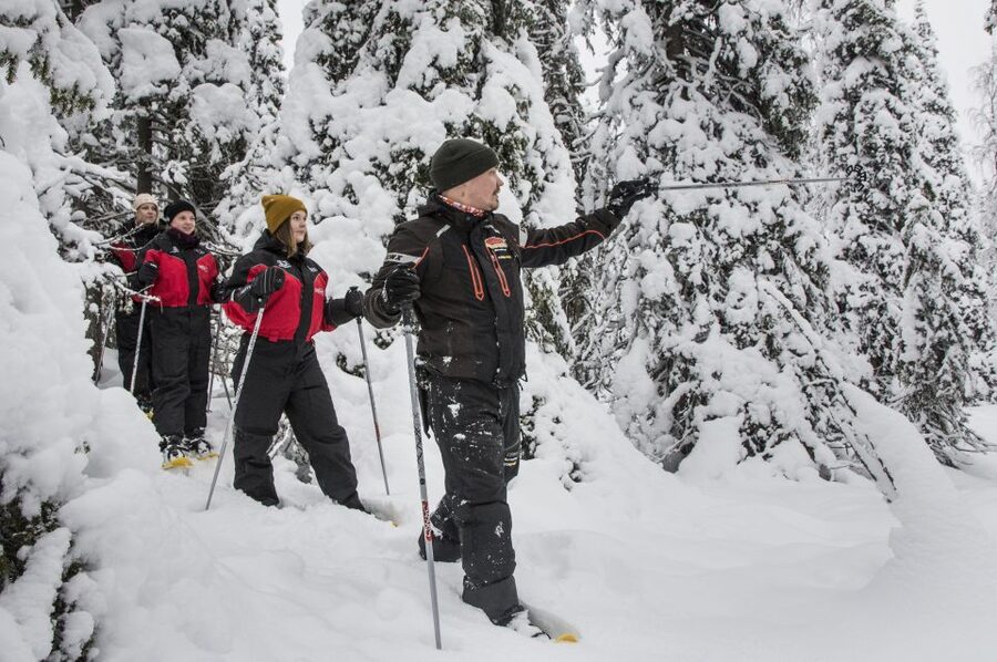 From Ruka: Snowshoeing in Oulanka National Park - Who should book this snowshoe hike in Oulanka, and who should skip it