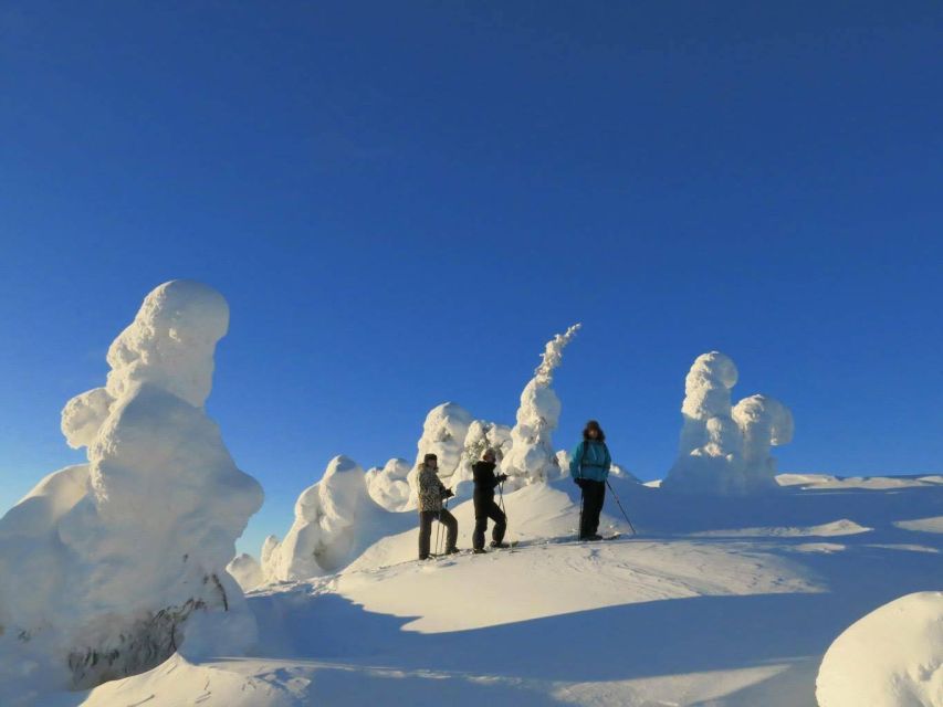 From Ruka: Snowshoeing in Riisitunturi National park - Key highlights you will actually feel