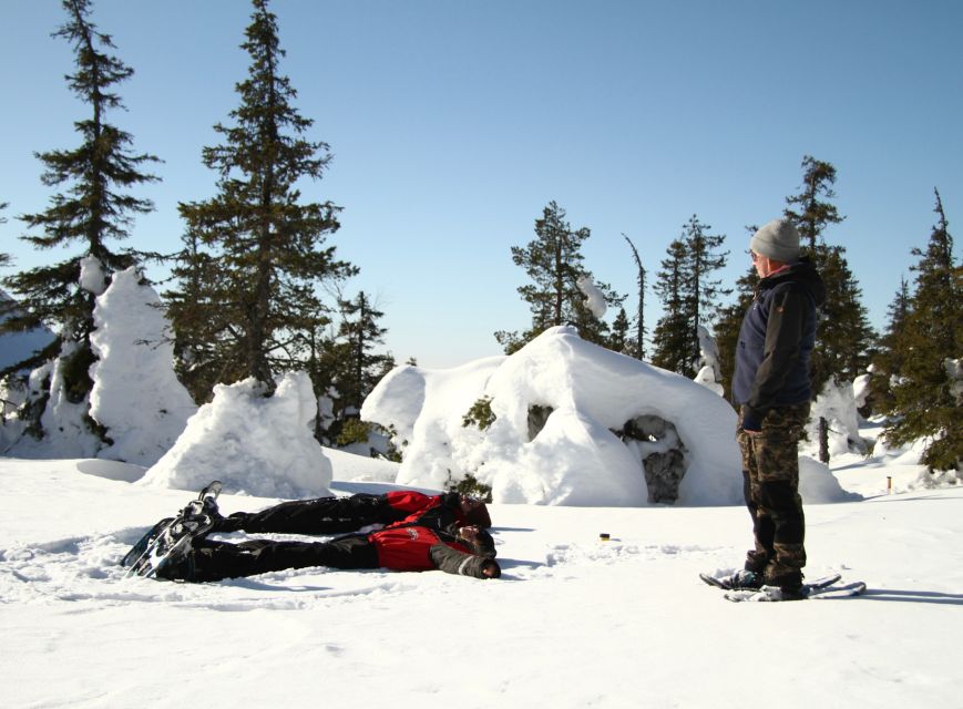 From Ruka: Snowshoeing in Riisitunturi National park - Why Riisitunturi snowshoeing feels different from a basic winter walk