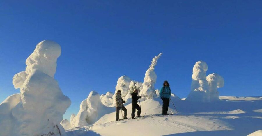 From Ruka: Snowshoeing in Riisitunturi National park - The hike in Riisitunturi: from forest tracks to a viewpoint climb