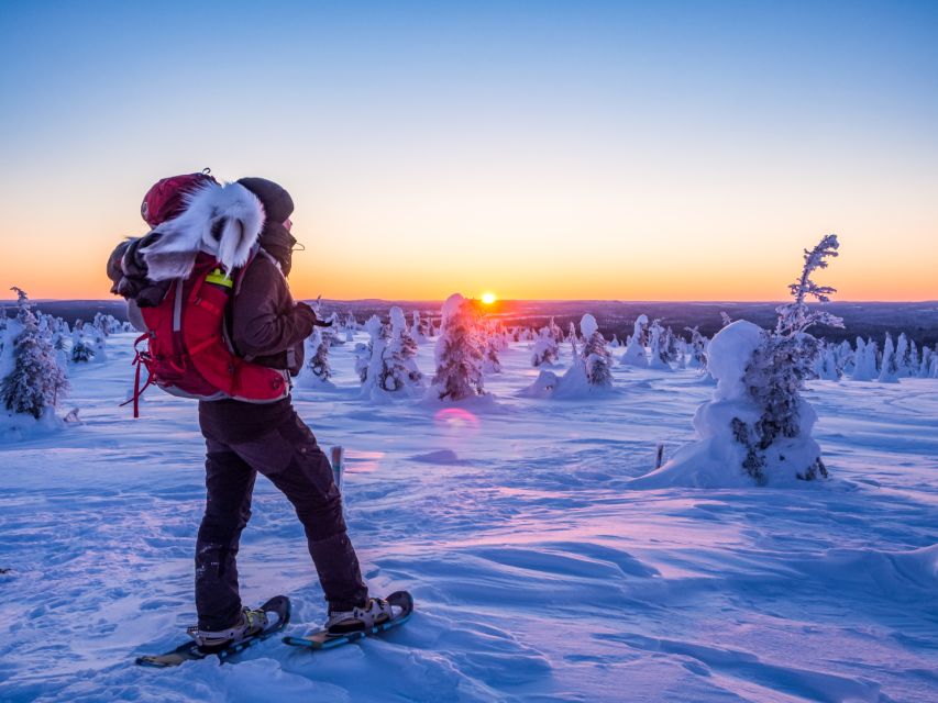 From Ruka: Snowshoeing in Riisitunturi National park - Price and value: is $174 a smart deal?