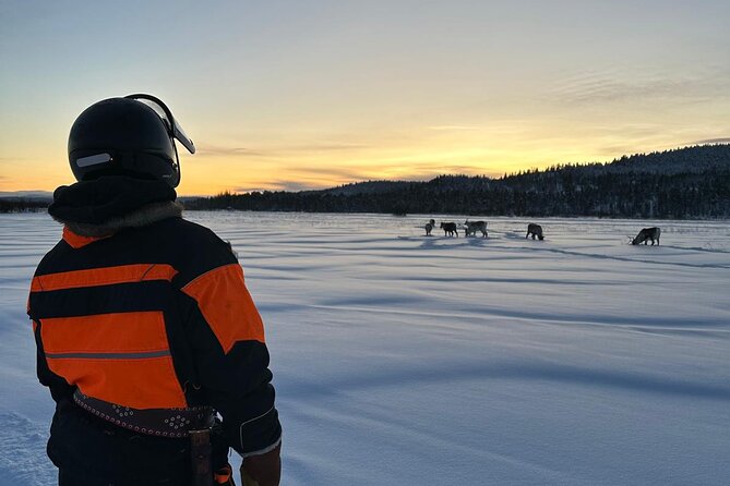 From Saariselkä: Ice Fishing Tour to Lake Inari, reindeers &lunch - Ice Fishing on Frozen Lake Inari: Holes, Patience, and a Guide Who Handles the Details