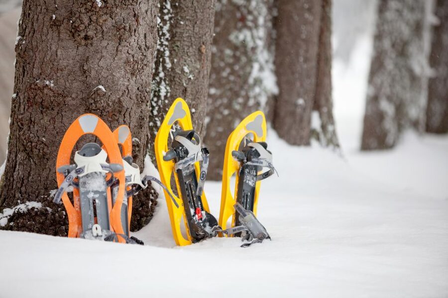From Sirkka: Levi Summit Guided Nature Snowshoeing Tour - Levi Summit snowshoeing, why this 2-hour winter walk is a good pick