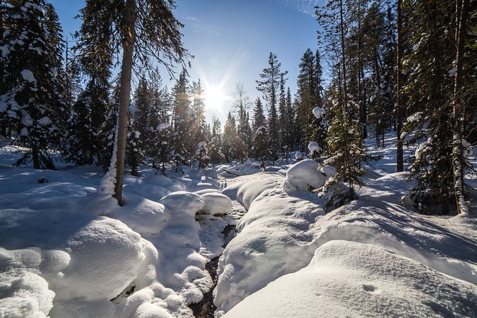 Frozen Waterfalls of Korouoma Canyon tour with Pro Photos & BBQ - Why the pro photos matter more than you think