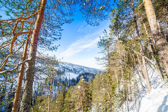 Frozen Waterfalls of Korouoma Canyon tour with Pro Photos & BBQ - BBQ in the wild: what lunch is like after you earn it