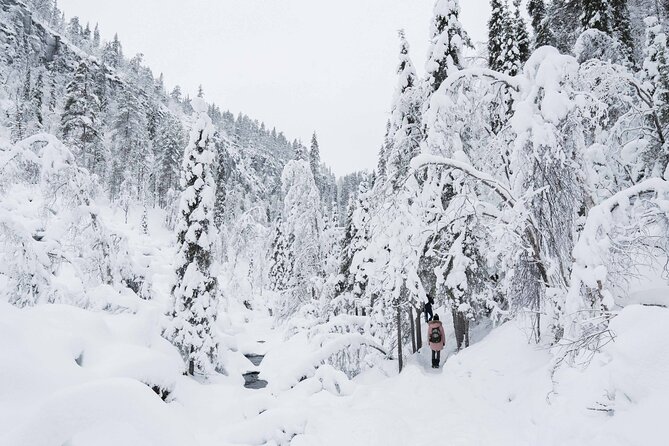 Frozen Waterfalls of Korouoma Canyon tour with Pro Photos & BBQ - Guides: the difference between a hike and a good story