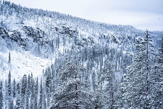 Frozen Waterfalls of Korouoma Canyon tour with Pro Photos & BBQ - Price and value: why $158.39 can make sense in winter