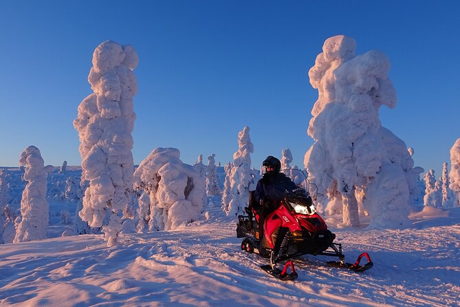 Full Day Adventure with Snowmobiles in Saariselkä - Getting to Safartica and lining up for a 9:30 AM start