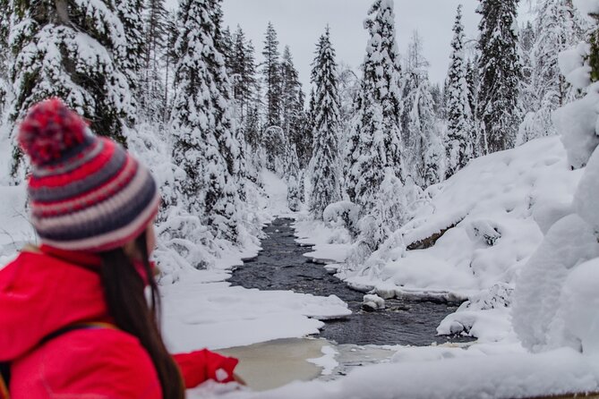 Full Day Hiking to Korouoma Canyon & Frozen Waterfalls - Ice-Cold Reality: What to Expect at -30 C and on Slippery Paths