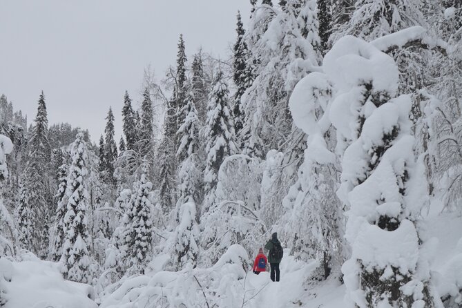 Full Day Hiking to Korouoma Canyon & Frozen Waterfalls - Price and Value: Is $210.25 Worth It for Korouoma?