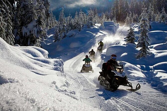 Full Day Snowmobile Safari - Riding the Arctic Forest: scenery, pace, and time on the track