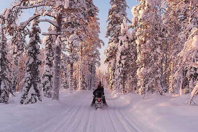 Full Day Snowmobile Safari - Language and communication: stay realistic about expectations