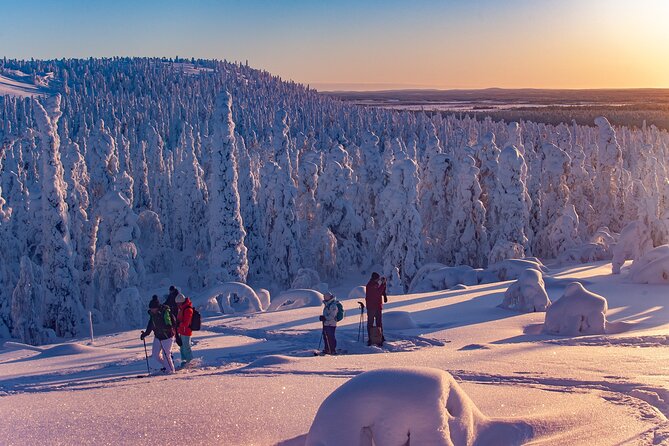 Full-Day Snowshoeing Adventure in Amethyst Mine Pyhä Luosto - Lunch snack around the fire, a warm reset that counts